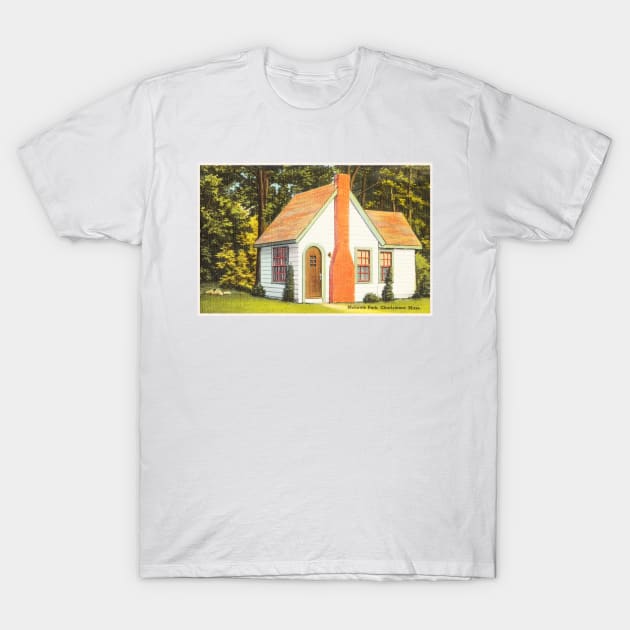 Mohawk Park, Mass postcard T-Shirt by WAITE-SMITH VINTAGE ART